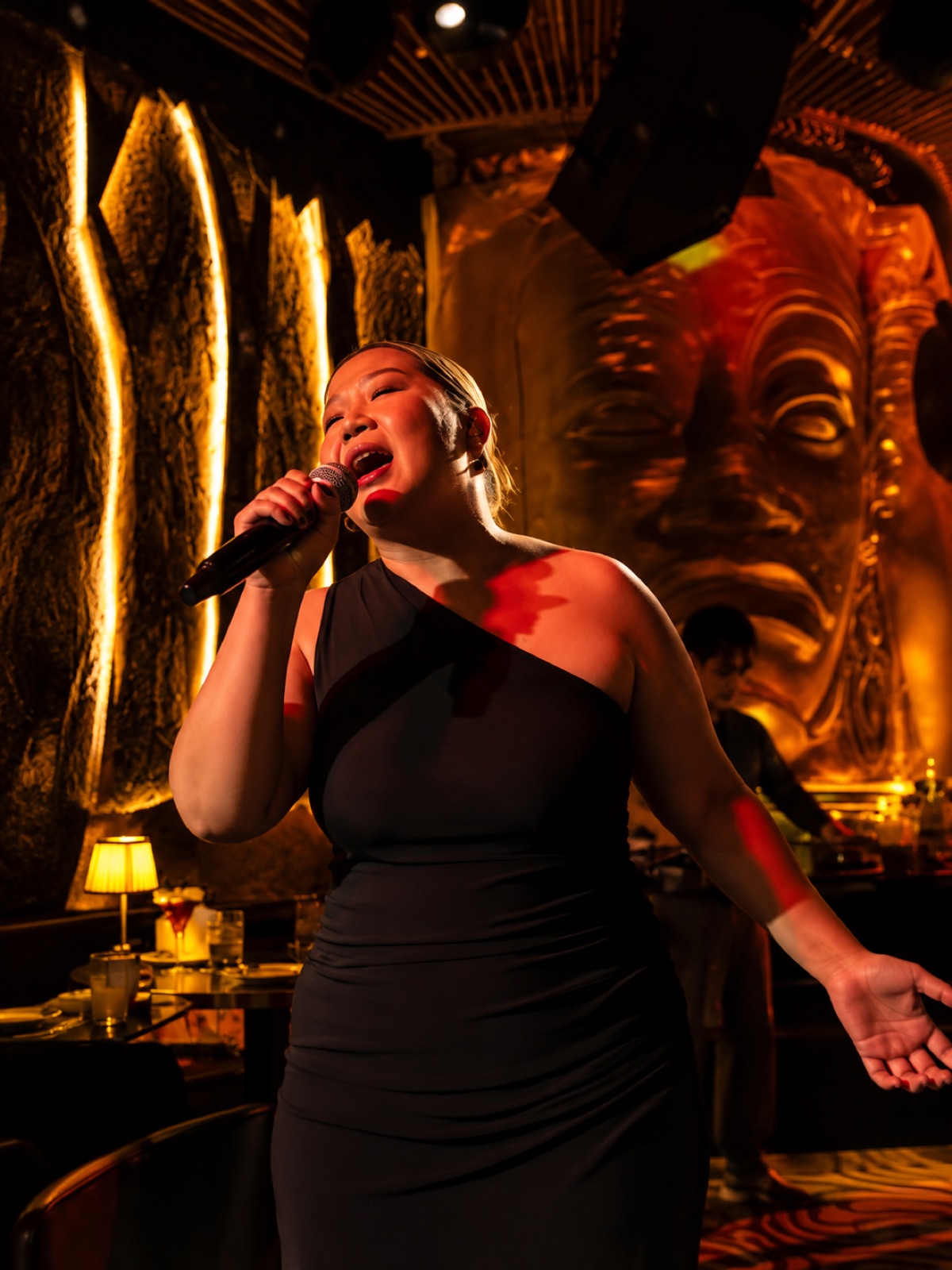 Live vocalist performing at the lounge